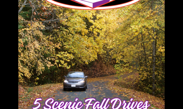 5 Scenic Fall Drives Near Bellingham to Explore This Season ...